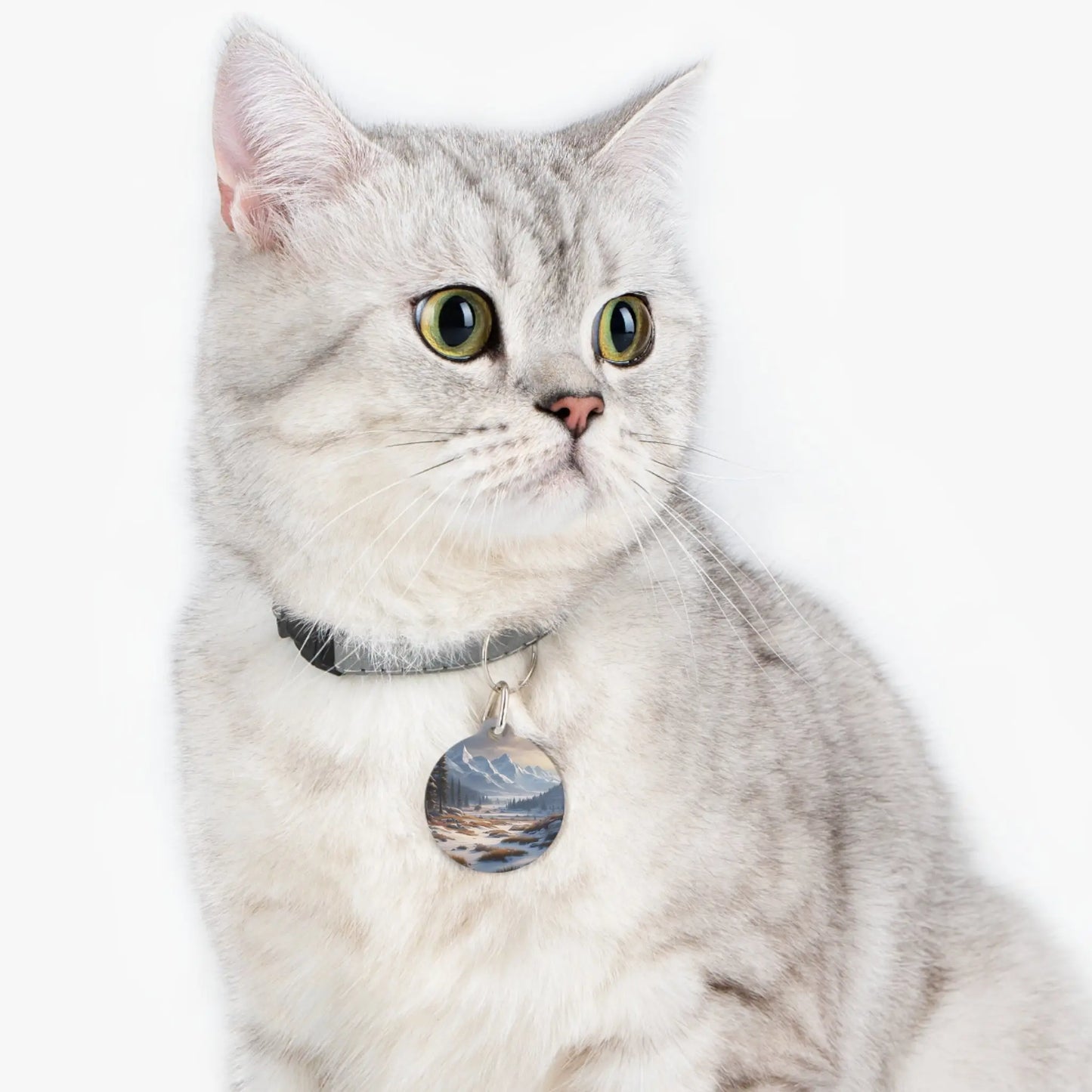 Mountain Winter Landscape Pet Tag — Scenic Snowy Valley Dog & Cat ID Charm - 1’’ - Pets