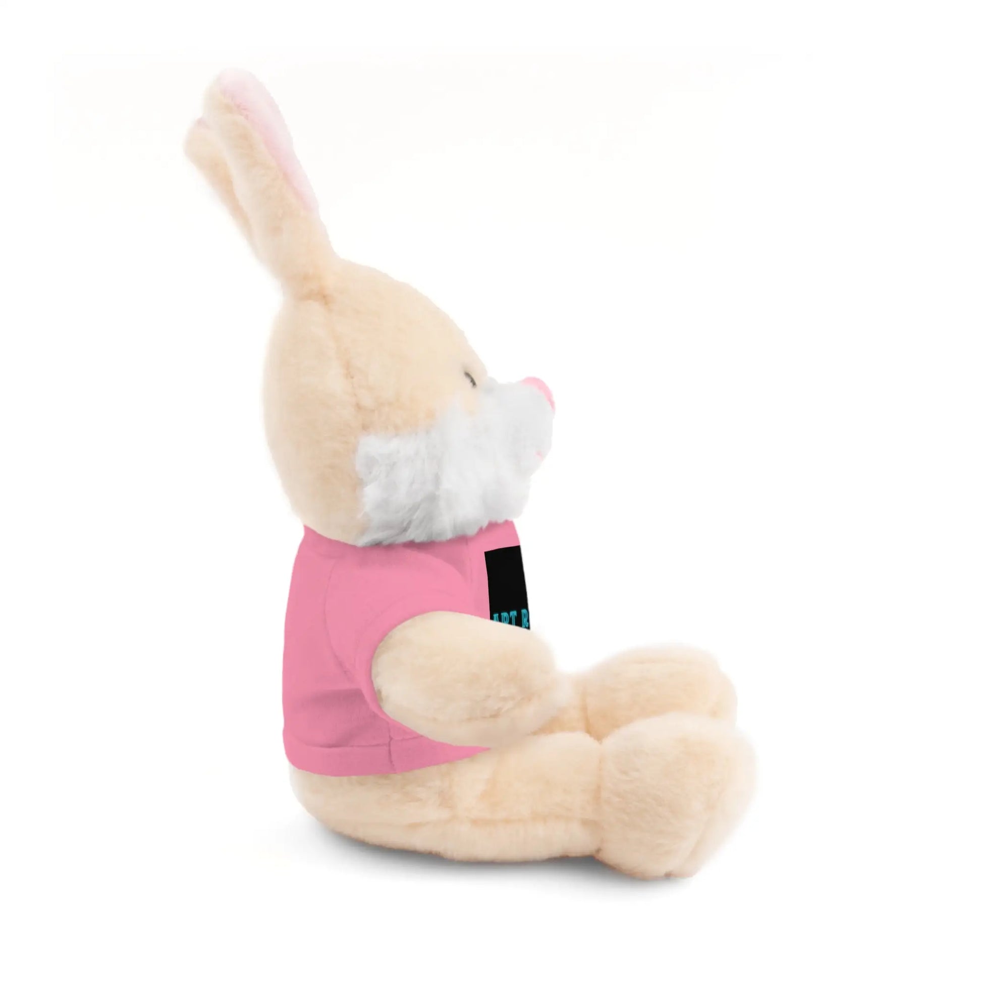 Plushie Stuffed Animal with Art Rocks Logo - Accessories