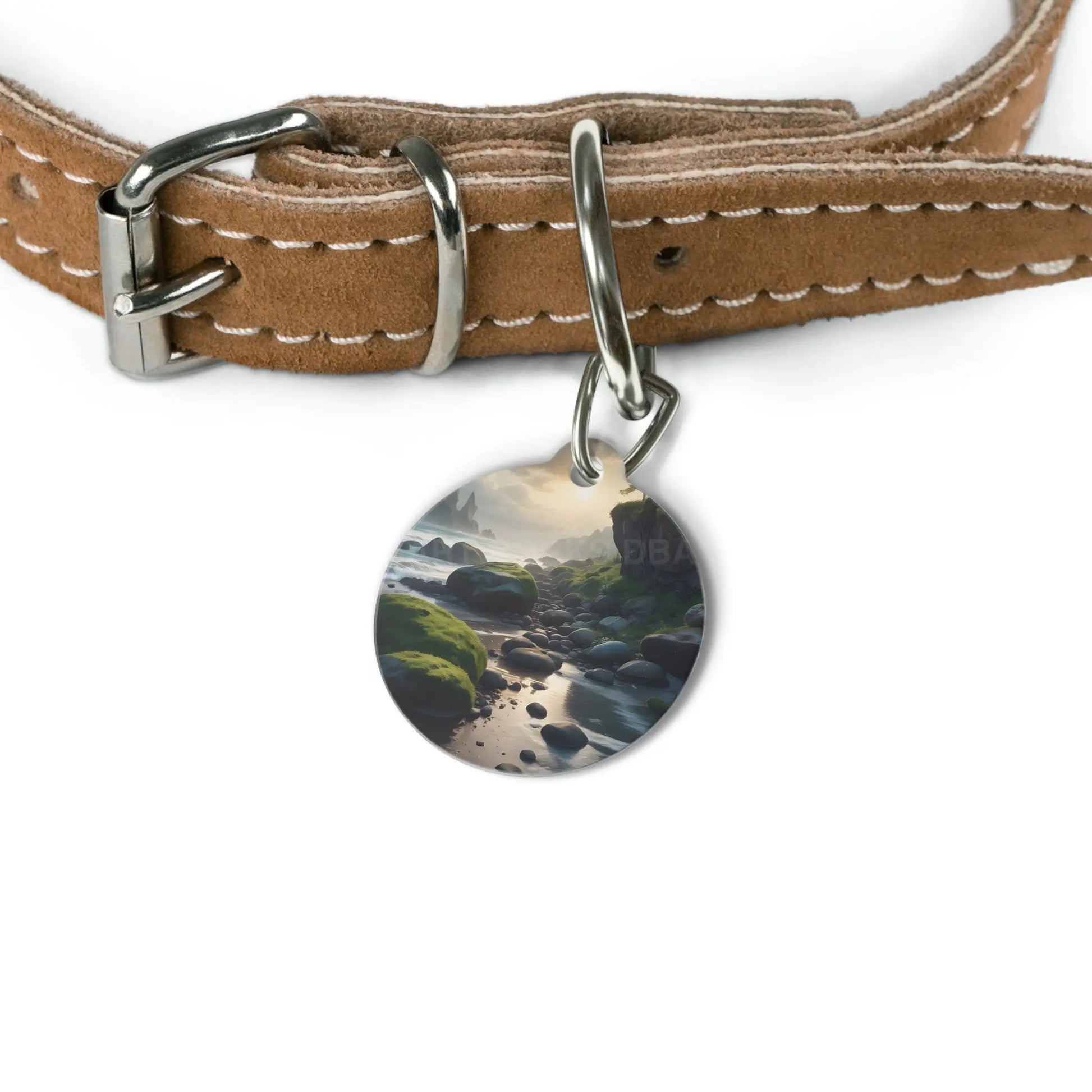 Scenic Coastal Pet Tag — Mossy Rocky Beach ID Tag - 1’’ - Pets