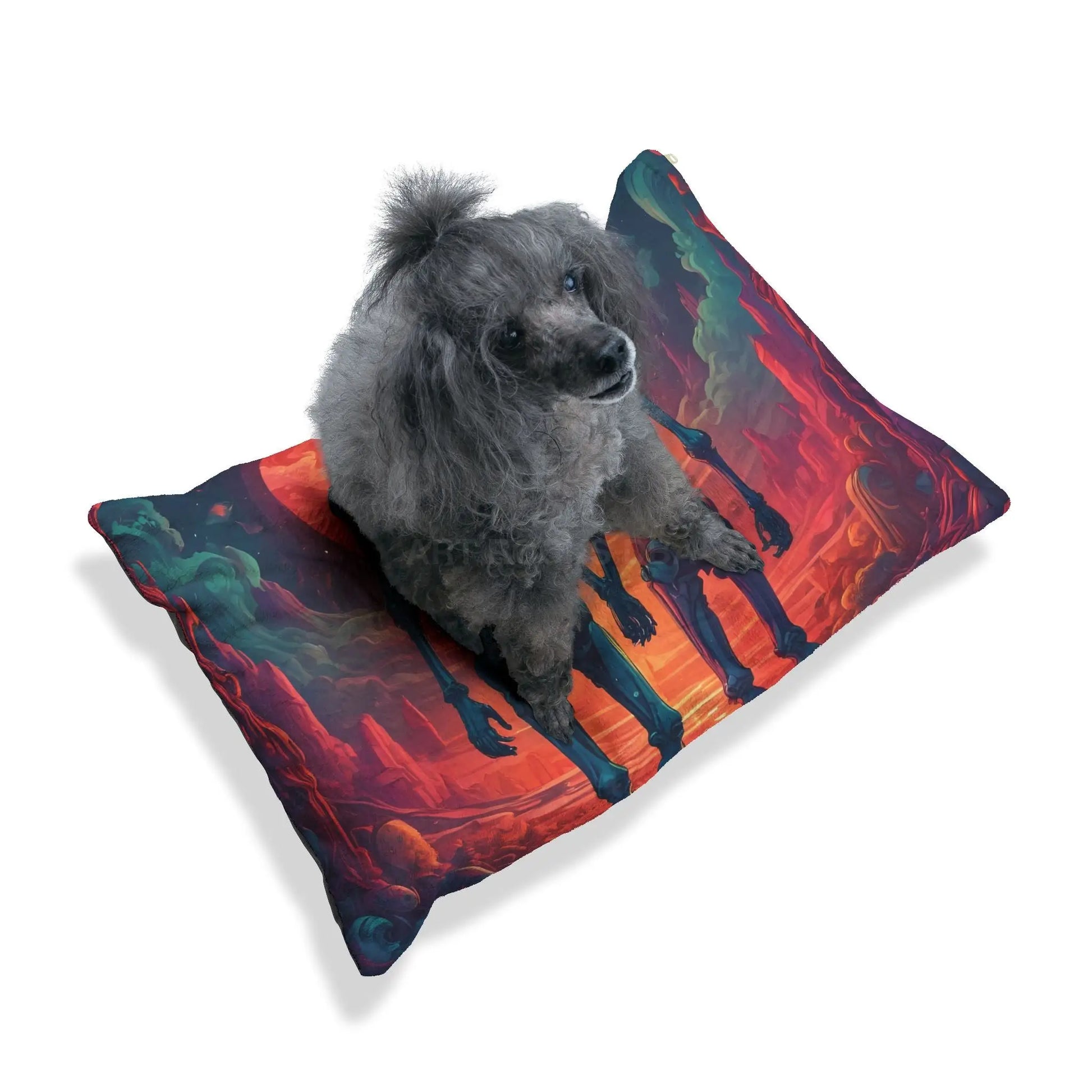 Skeletons in Love Pet Bed — Sunset Gothic Dog & Cat Cushion - Pets