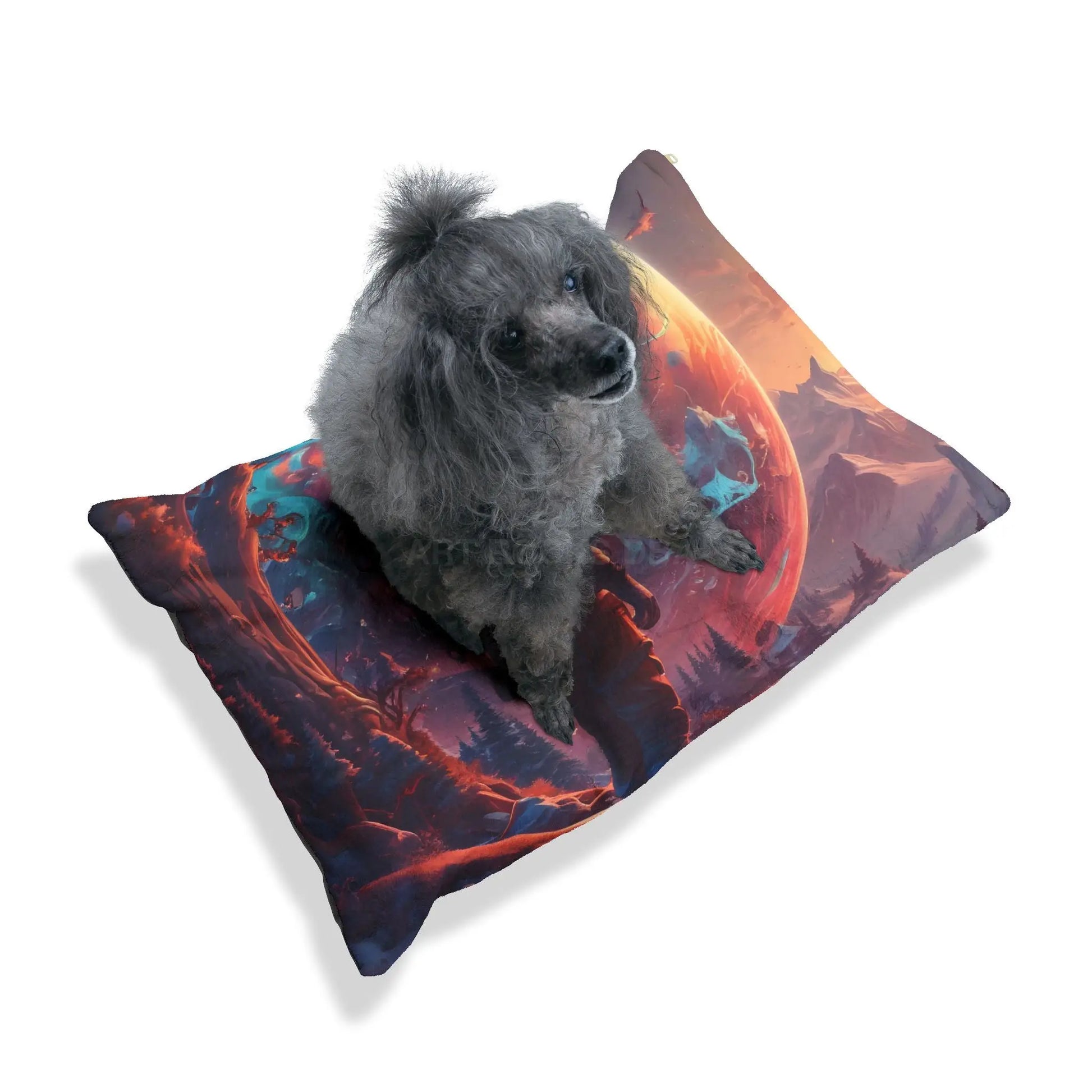 Space Astronaut Pet Bed — Cosmic Planet Adventure Print for Dogs & Cats - Pets